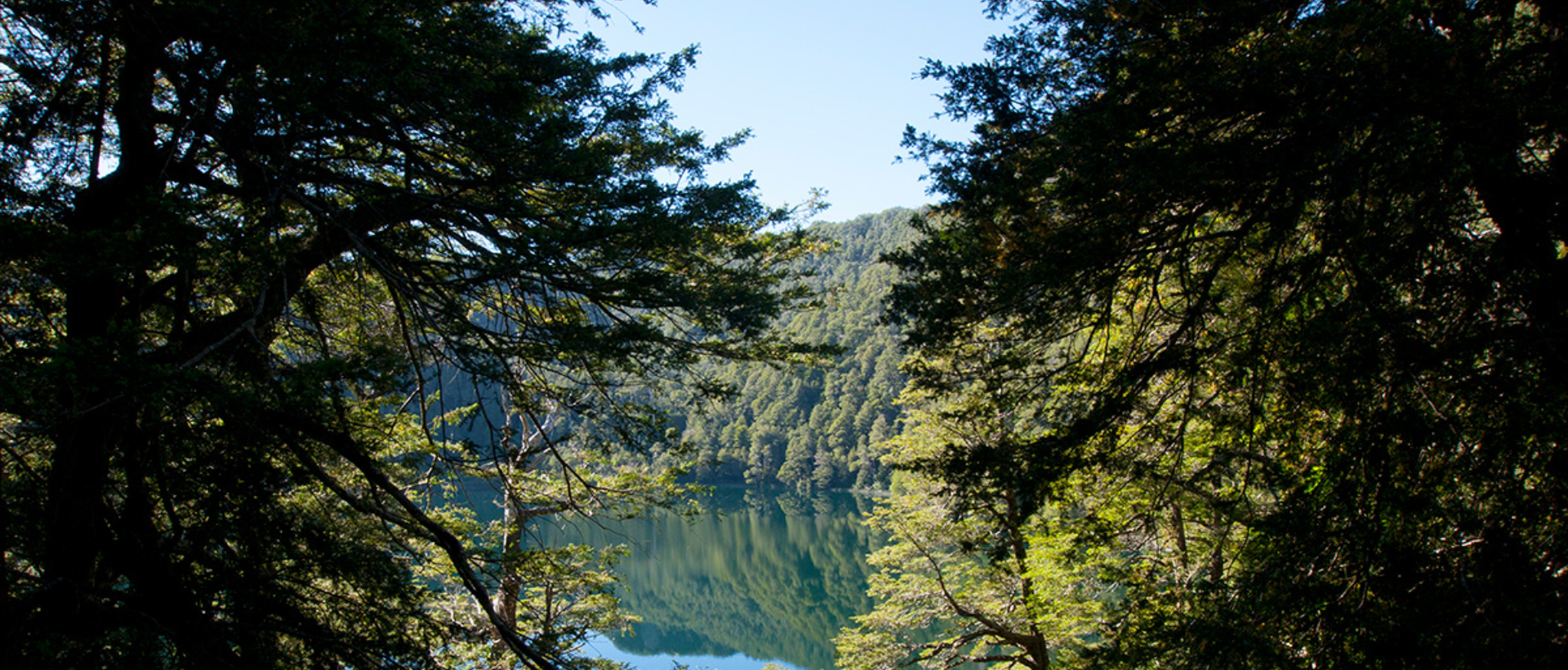 MULTIVIAJES >> LAGO RANCO