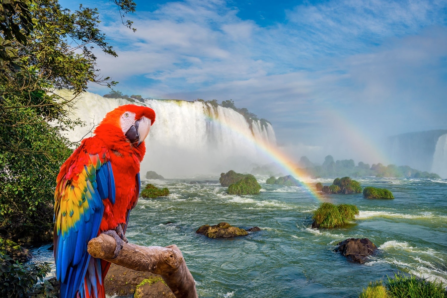 FOZ DE IGUAZÚ