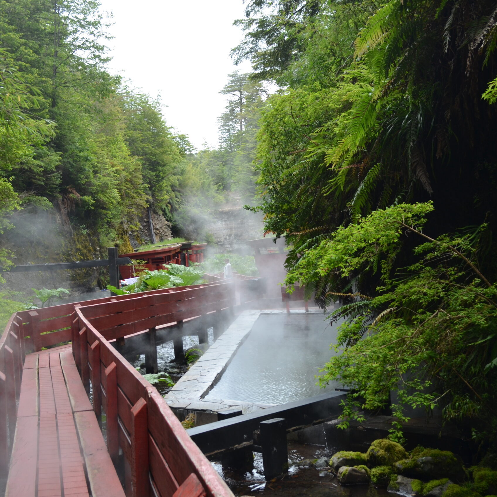 TERMAS GEOMÉTRICAS & PUCÓN